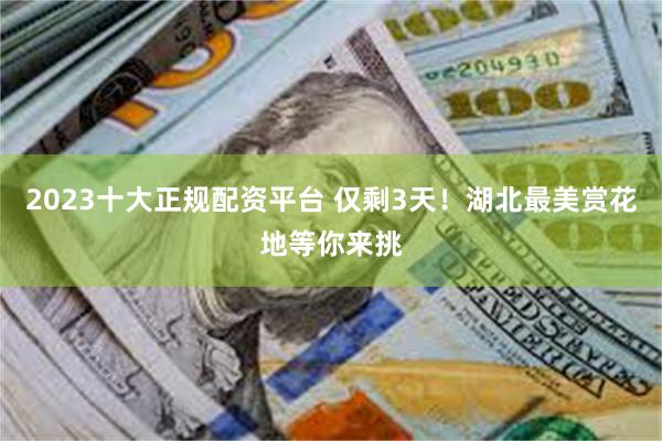 2023十大正规配资平台 仅剩3天！湖北最美赏花地等你来挑
