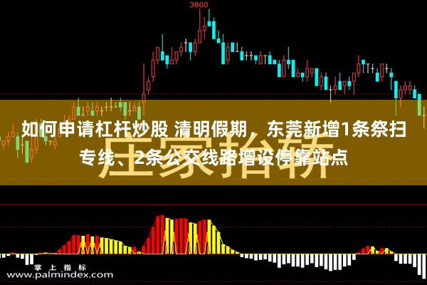 如何申请杠杆炒股 清明假期，东莞新增1条祭扫专线、2条公交线路增设停靠站点