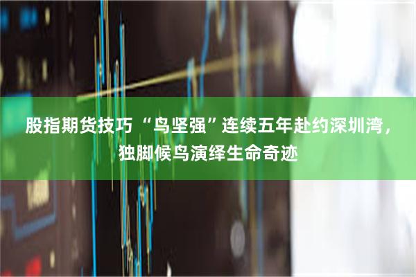 股指期货技巧 “鸟坚强”连续五年赴约深圳湾，独脚候鸟演绎生命奇迹