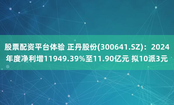 股票配资平台体验 正丹股份(300641.SZ)：2024年度净利增11949.39%至11.90亿元 拟10派3元