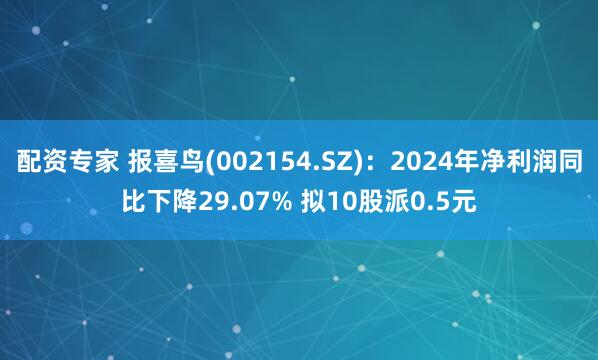 配资专家 报喜鸟(002154.SZ)：2024年净利润同比下降29.07% 拟10股派0.5元
