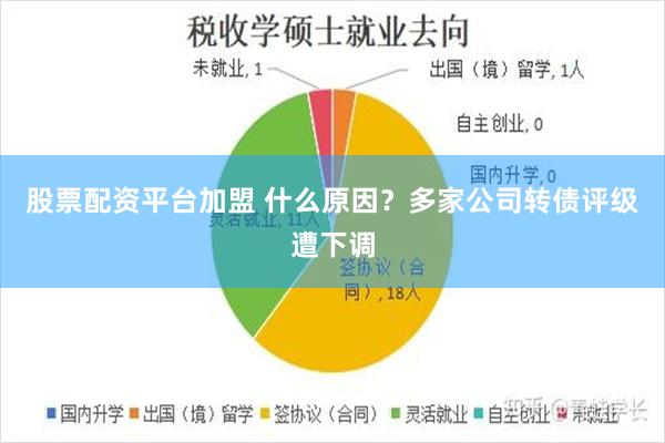 股票配资平台加盟 什么原因？多家公司转债评级遭下调