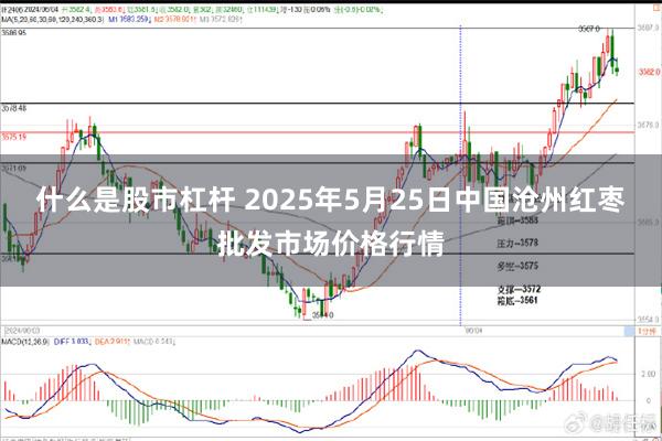 什么是股市杠杆 2025年5月25日中国沧州红枣批发市场价格行情