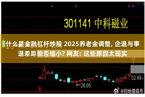 什么是金融杠杆炒股 2025养老金调整, 企退与事退差距能否缩小? 网友: 这些原因太现实