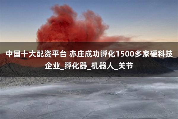 中国十大配资平台 亦庄成功孵化1500多家硬科技企业_孵化器_机器人_关节