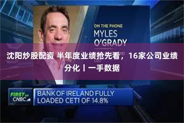 沈阳炒股配资 半年度业绩抢先看,16家公司业绩分化丨一手数据